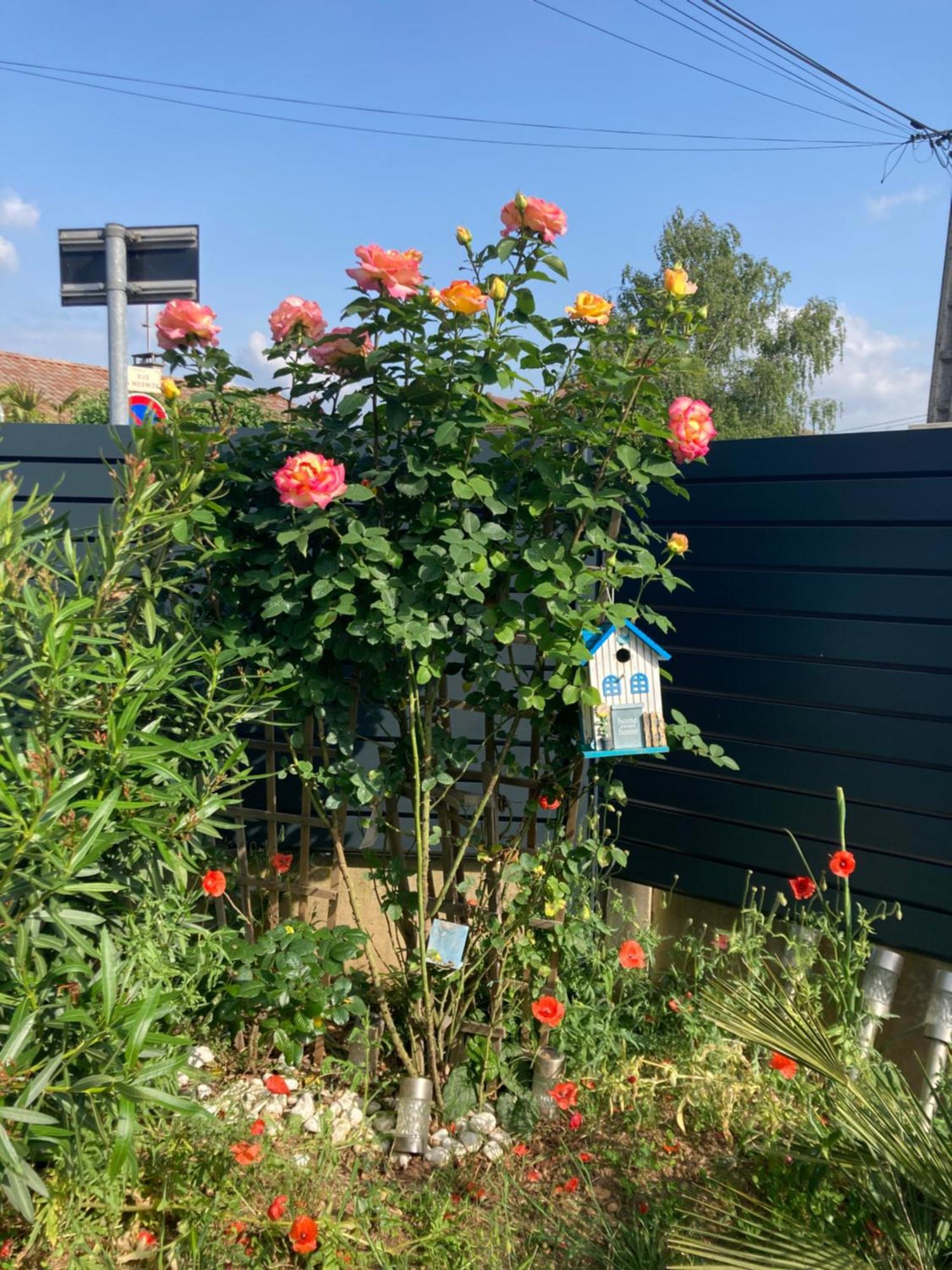 Au Calme Dans Maison En Rez De Jardin A 2,2 Kms Du Groupama Stadium Et Salle Ldlc Arena 梅济约 外观 照片