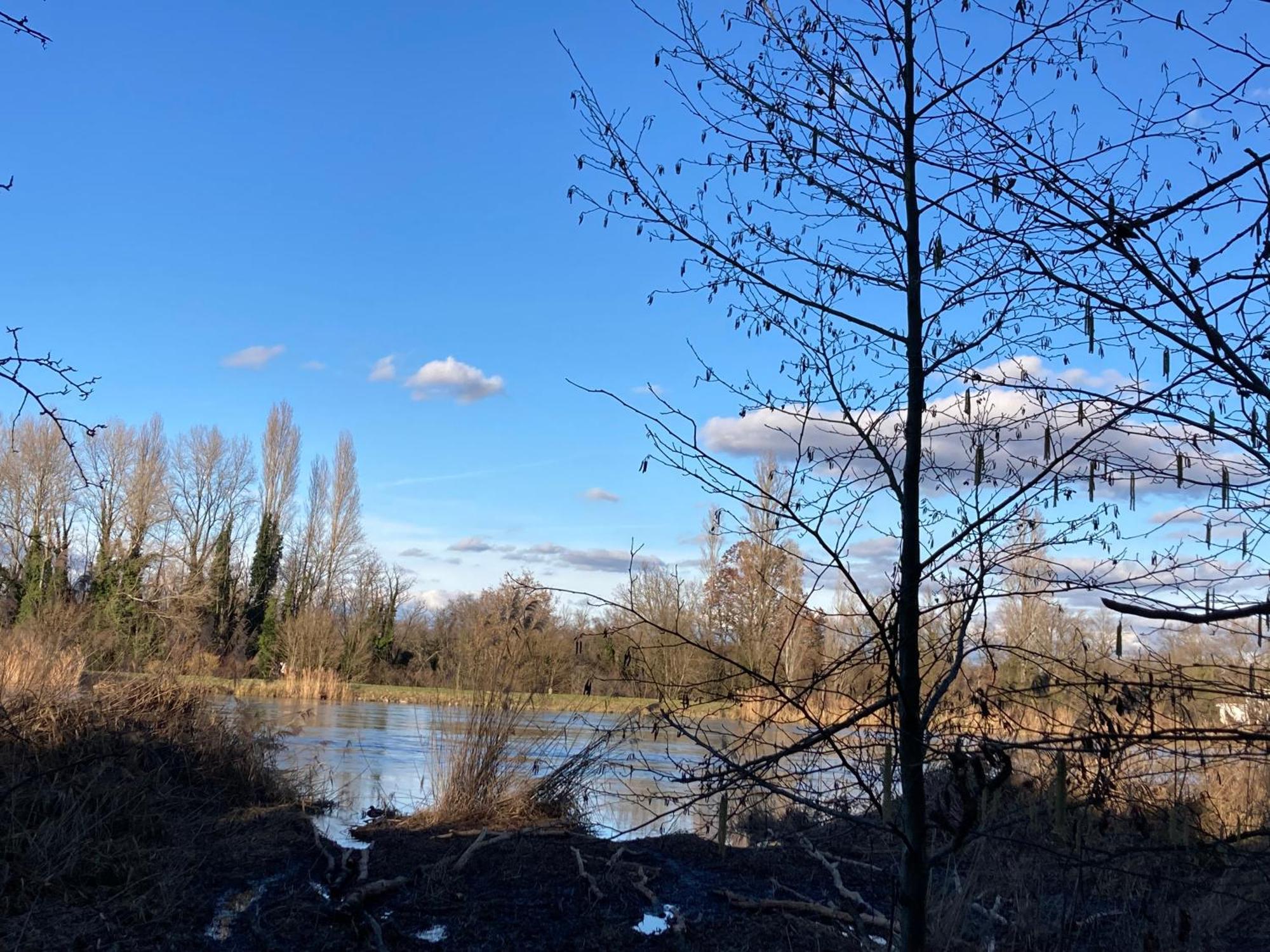 Au Calme Dans Maison En Rez De Jardin A 2,2 Kms Du Groupama Stadium Et Salle Ldlc Arena 梅济约 外观 照片